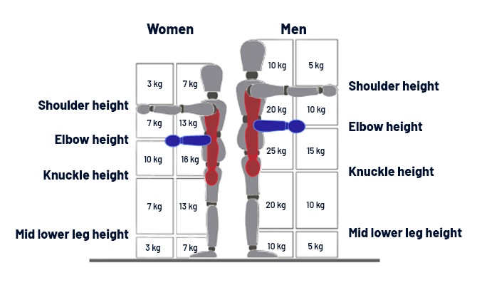 https://translyft.com/files/Case/wp%20ergonomics/Billede%20til%20tekst.png